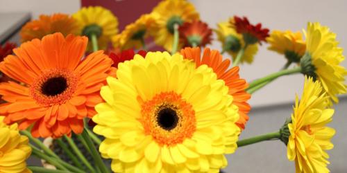 Podelitev diplom SFU Ljubljana, 2019