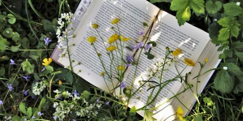 Posvet : Duševno zdravje skozi zgodbe