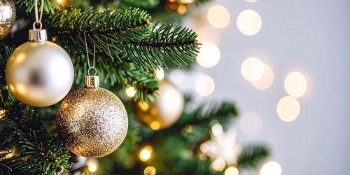 Praznični delovni čas 