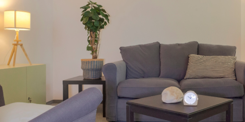 Predstavitvena delavnica / sistemska psihoterapija