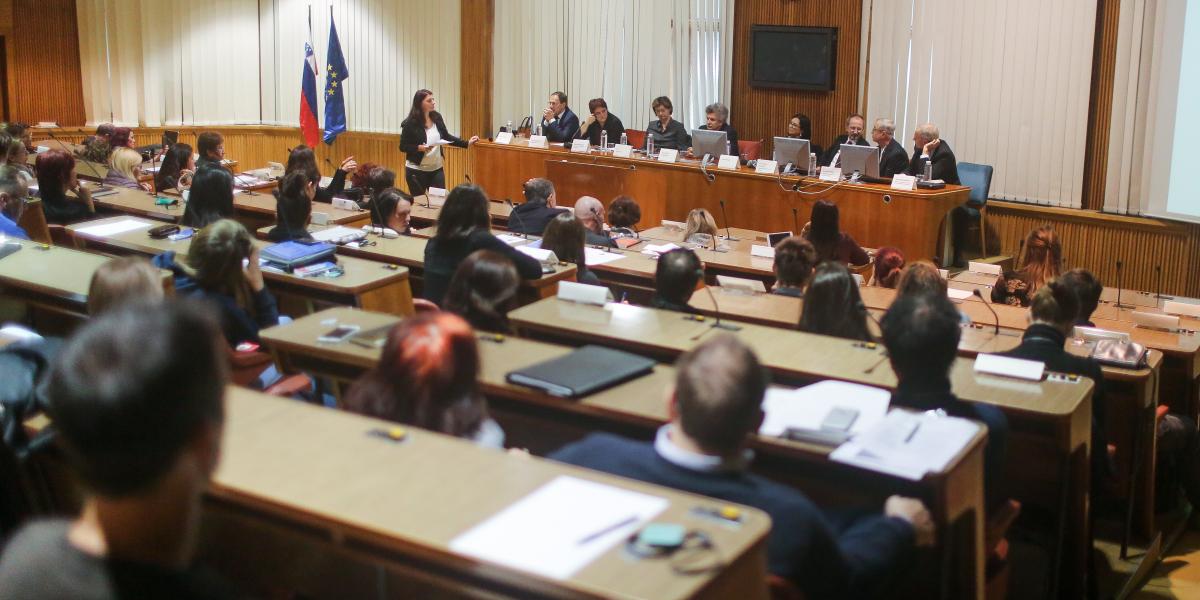 posvet v Državnem svetu