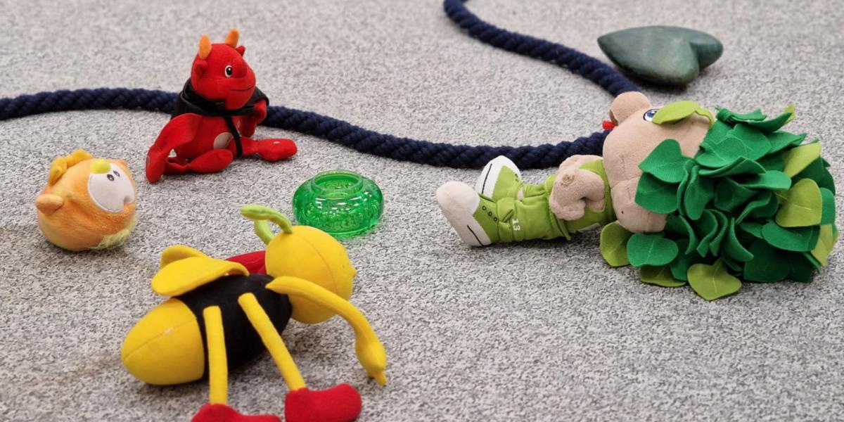 Specialistični študij - sistemska psihoterapija