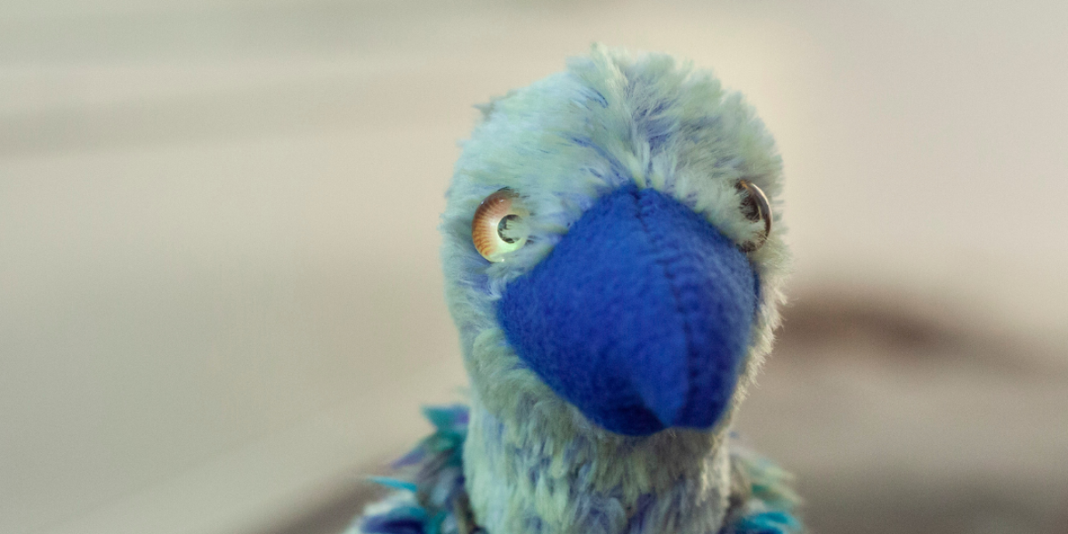 Predstavitvena delavnica Geštalt psihoterapija