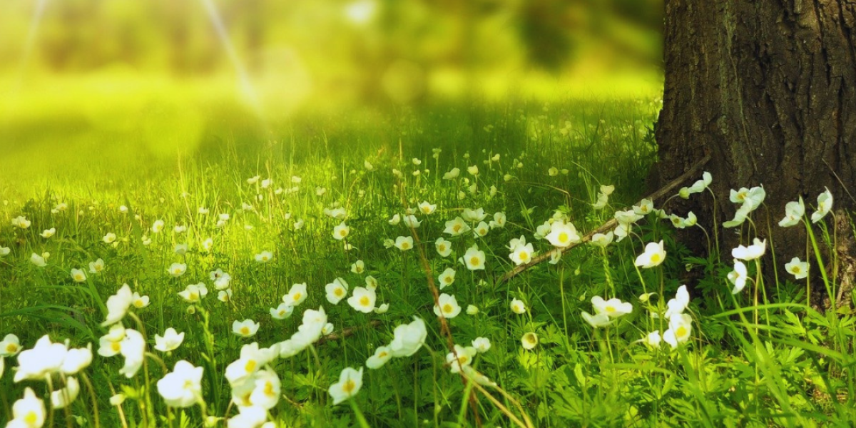 Predstavitvena delavnica integrativna psihoterapija